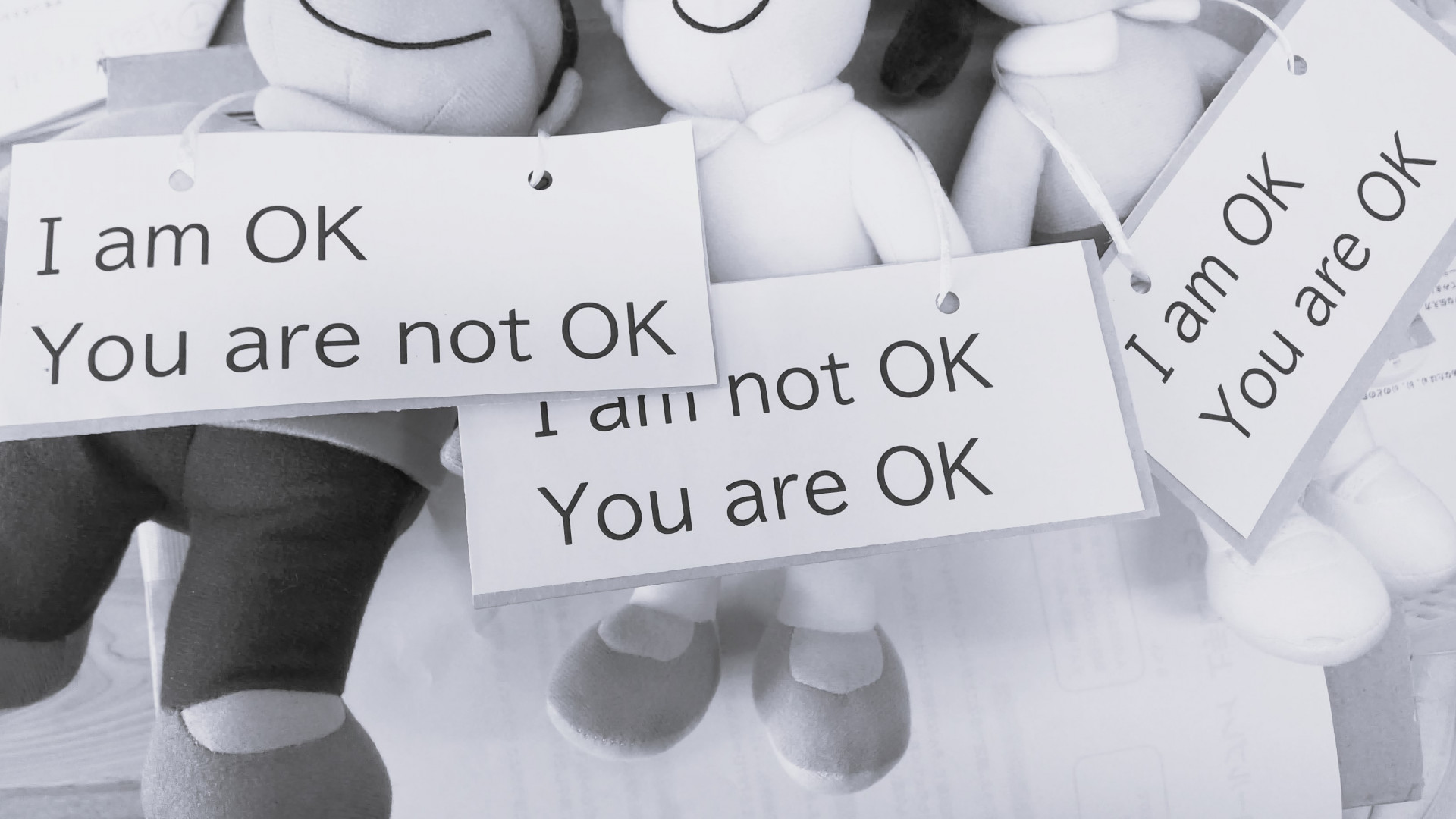 WIN_20260115_11_30_46_2 Pro